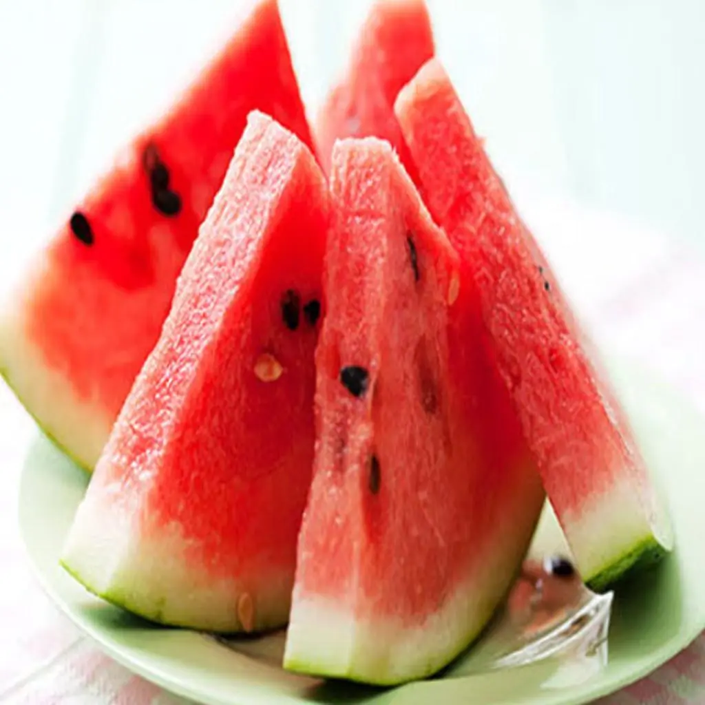 Watermelon Plate